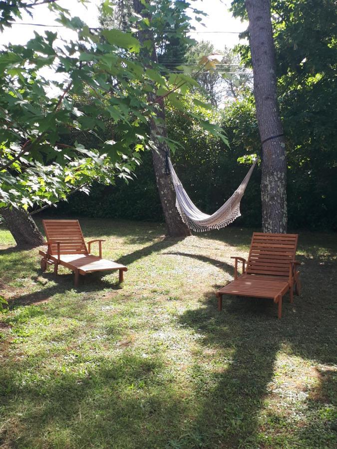Gîte ma vie là avec jacuzzi privatif Saint-Julien-de-Cassagnas Exterior foto